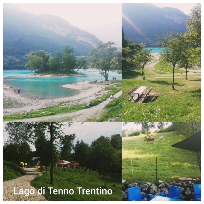 Agritur Tenno Cantina Bio Natura エクステリア 写真